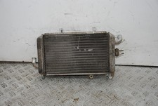 59993 Radiatore Piaggio
