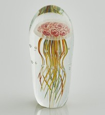 Medusa in vetro grande