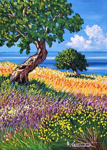 Compralo subito 25x35 - , quadro