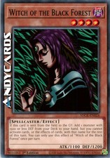 WITCH OF THE BLACK FOREST
