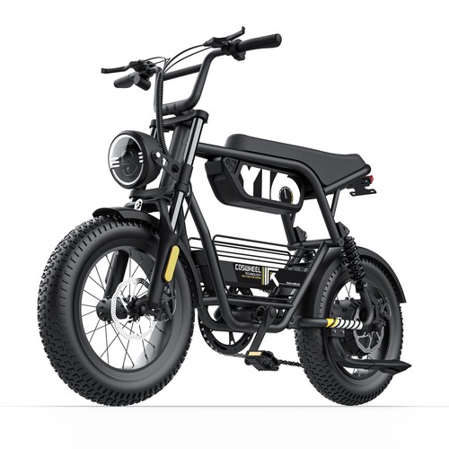 Bici elettrica fuoristrada per