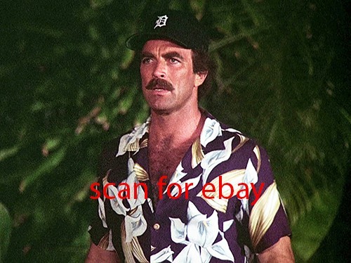 Magnum tom selleck foto - magnum, pi