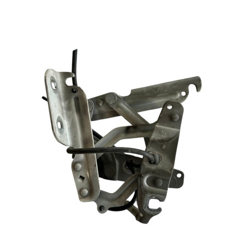 Coppia cerniere cofano ford - cerniere,