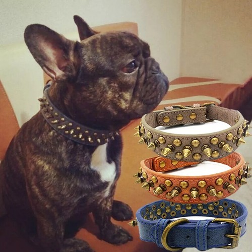 Collare per cani bulldog - collare,