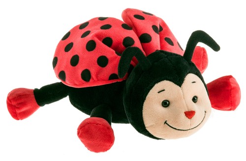 Schaffer 4343 coccinella - , di