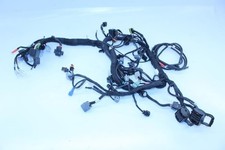 Fascio Elettrico KTM DUKE 790