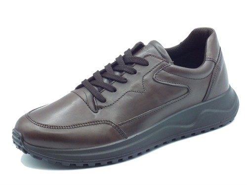 Igi 6638811 vitello alfa - igi&co,