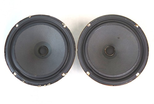 Pezzo woofer goodmans - woofer, meta