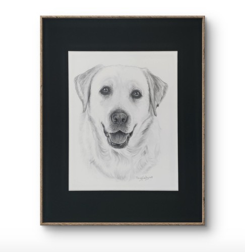 Disegno originale 14x11 - , cane