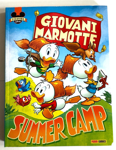 Giovani marmotte summer camp - marmotte,