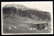 SAPPADA (Udine). CADORE. Casa