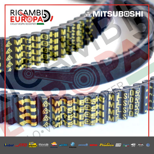 Cinghia trasmissione