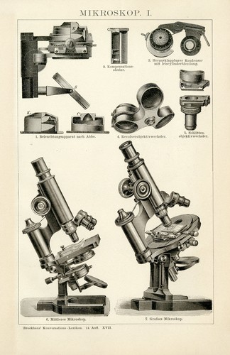 Microscopi quadro storico