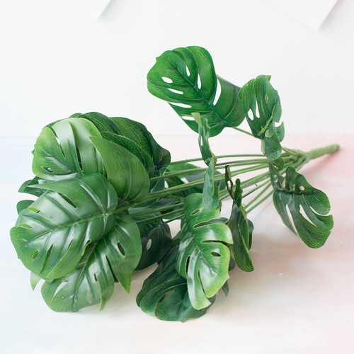 Piante vaso simulazione - piante,