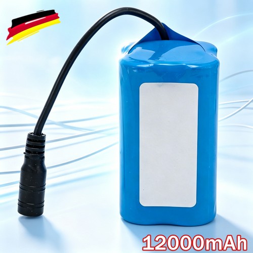 Batteria 12000 mah - v,