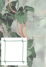 RETE SUPPORTO PER RAMPICANTI