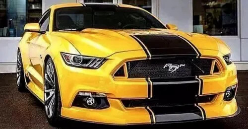 Adesivi decalcomanie ford - adesivi,