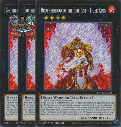 Yugioh confraternita del - yugioh!, 3x