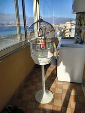 gabbia per uccelli usata