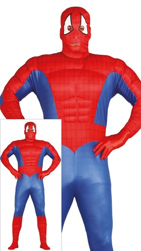 Guirca costume spiderman - costume,