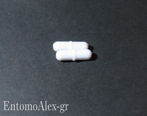 Ancoretta magnetica ptfe - ancoretta,