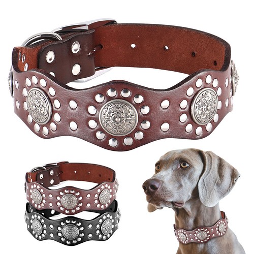 Collare per cani vera pelle - collare,