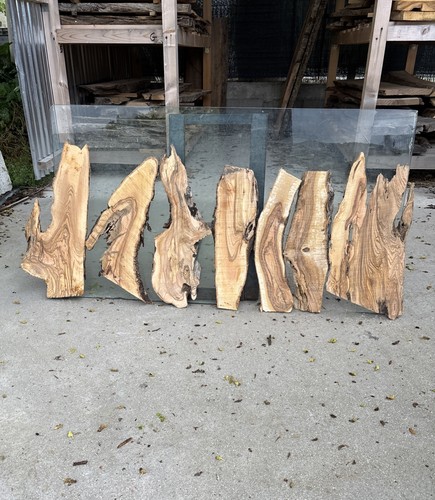 Tavole legno ulivo 7 - tavole,