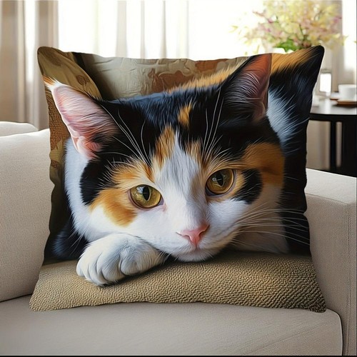 Gatto che tiene - , cellulare