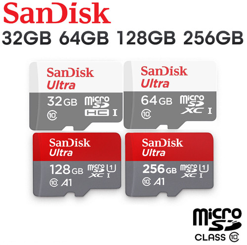 Scheda memoria sandisk - scheda,