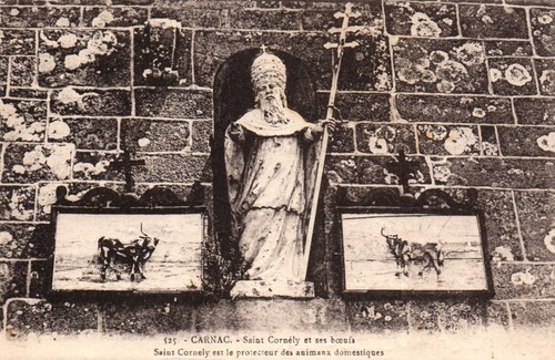 Cpa carnac - cpa,
