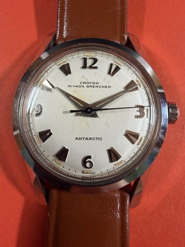 Croton nivada grenchen - nivada,