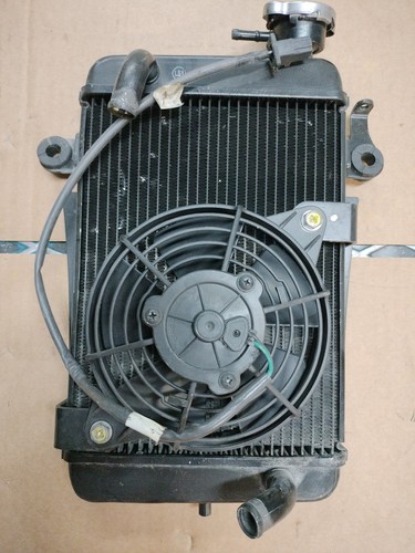 Radiatore honda 300 dal - sh,