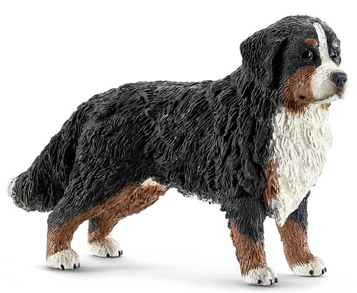 Bovaro bernese farm - farm, life
