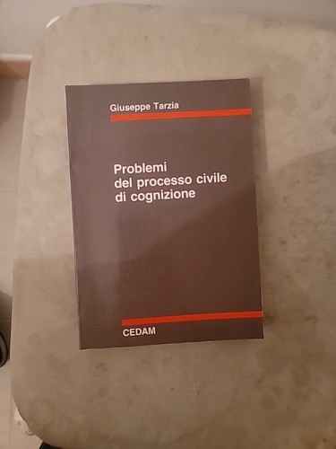 Problemi del processo - , civile