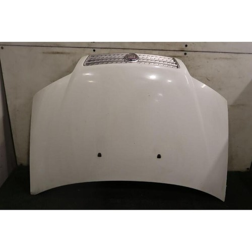 Cofano ant fiat punto - punto,