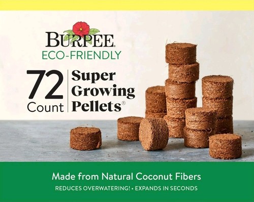 Burpee super piantine - burpee,