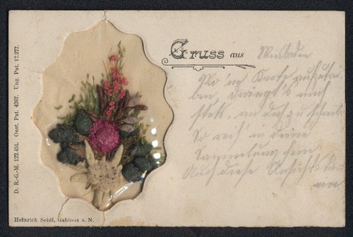 Cartolina fiori secchi