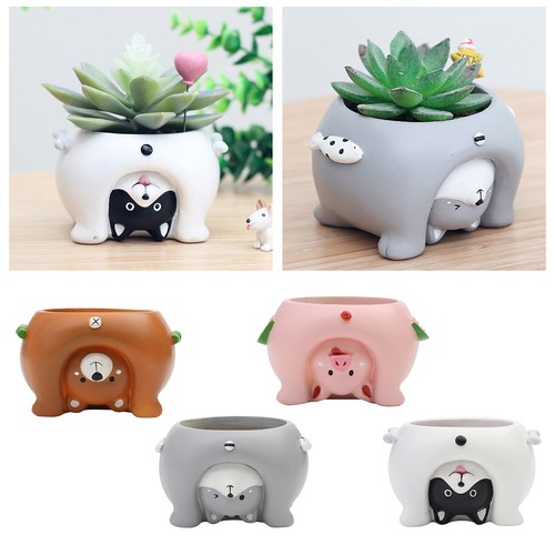 Resina succulente pentole - resina,