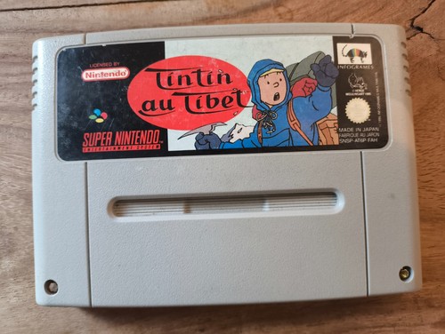 Tintin tibet jeu super - tibet,