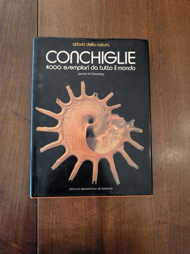 Conchiglie 4000 esemplari - 4000,