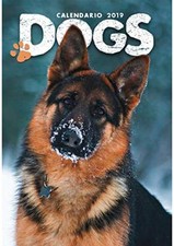 Cani dogs calendario - dogs, da