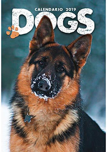 Cani dogs calendario parete - cani, da