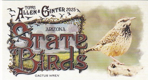 2025 topps allen ginter - ginter, mlb