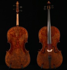 Violoncello montagnan 4 - violoncello,