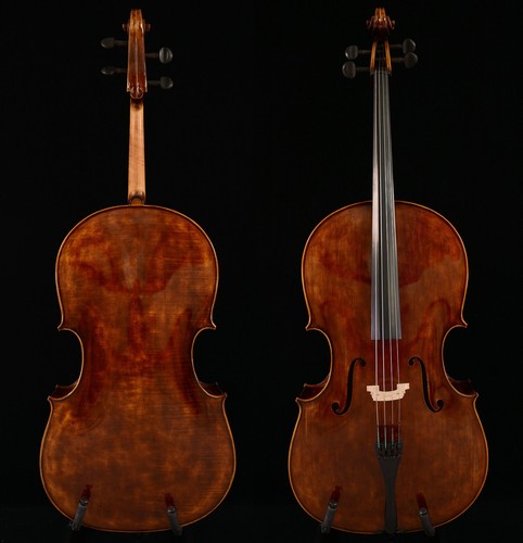 Violoncello montagnan 4 - violoncello,