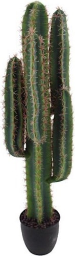 Dechome pianta artificiale - pianta,
