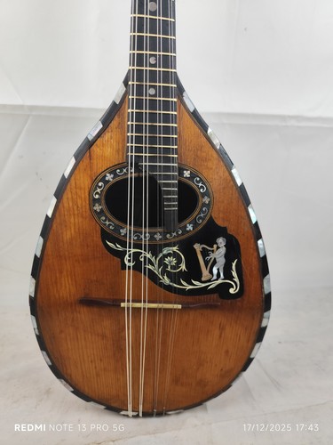 Mandolino domenico cerrone - domenico,