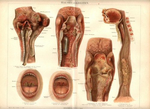 Antica cromolitografia 1898 - antica,