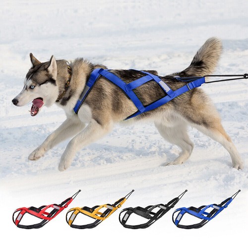 Slitta per cani back - slitta, x-back