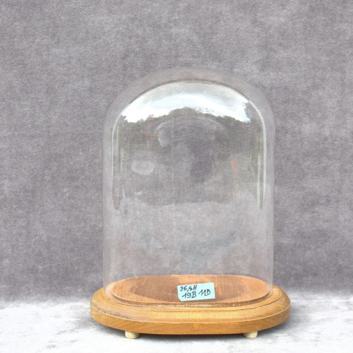 Vaso campana cupola retrò - vaso,